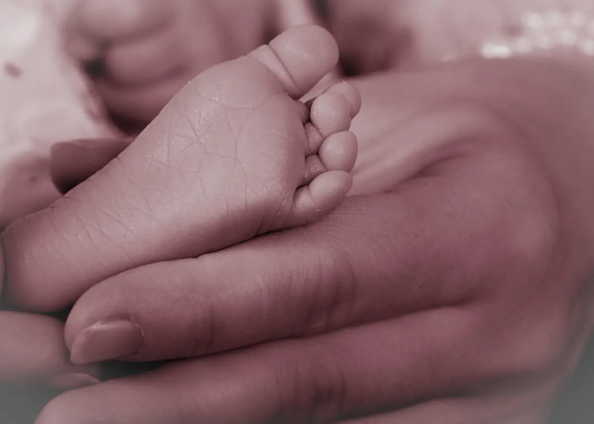 Newborn baby's foot resting in an adult's hands